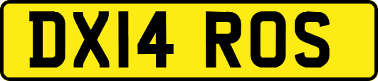DX14ROS