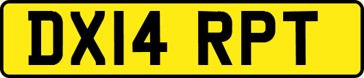 DX14RPT