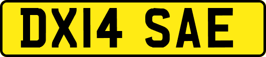 DX14SAE