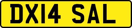 DX14SAL
