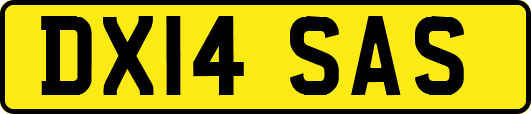 DX14SAS