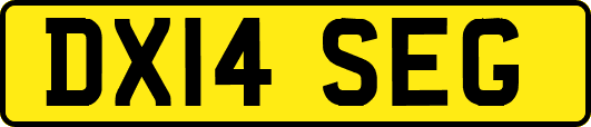 DX14SEG