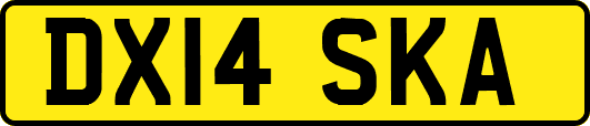 DX14SKA
