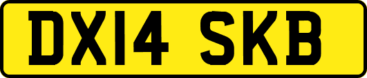 DX14SKB