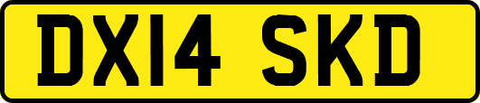 DX14SKD