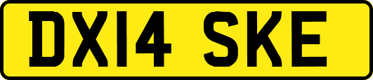 DX14SKE
