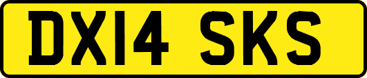 DX14SKS