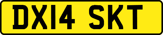 DX14SKT