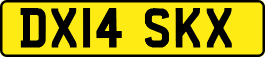 DX14SKX