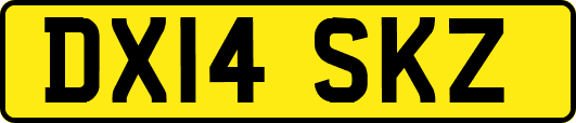 DX14SKZ
