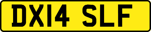 DX14SLF