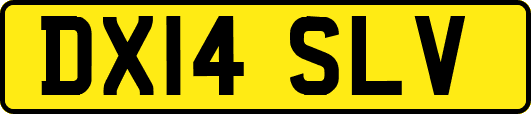 DX14SLV
