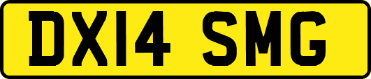 DX14SMG