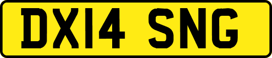 DX14SNG