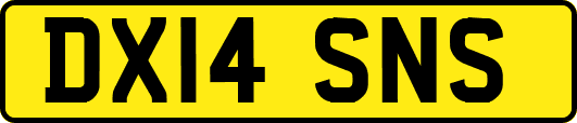 DX14SNS