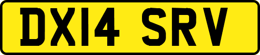 DX14SRV