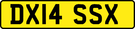 DX14SSX
