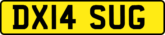 DX14SUG