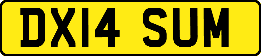 DX14SUM