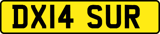 DX14SUR