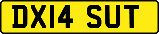 DX14SUT