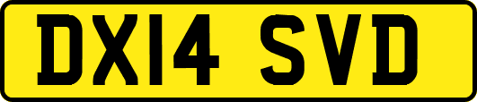 DX14SVD