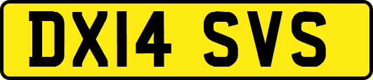 DX14SVS