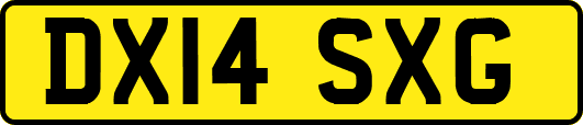 DX14SXG