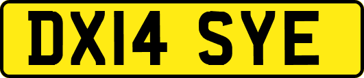 DX14SYE