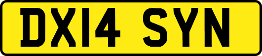 DX14SYN