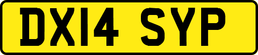 DX14SYP