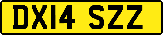 DX14SZZ