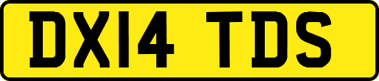 DX14TDS