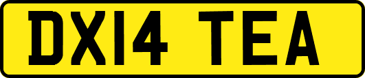 DX14TEA