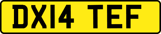 DX14TEF
