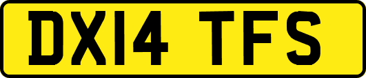 DX14TFS