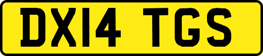DX14TGS