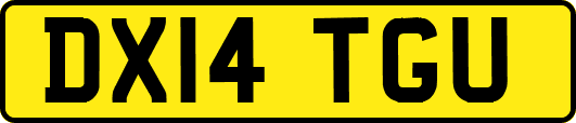 DX14TGU