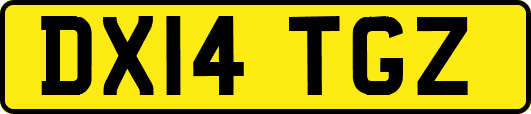 DX14TGZ