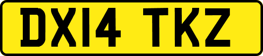 DX14TKZ