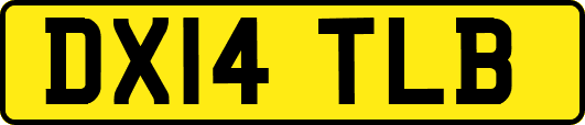 DX14TLB