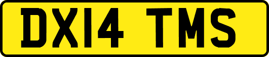 DX14TMS