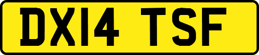 DX14TSF