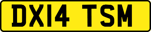 DX14TSM