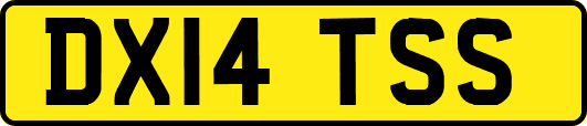 DX14TSS