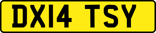 DX14TSY