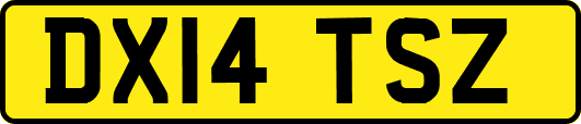 DX14TSZ
