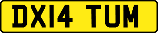 DX14TUM
