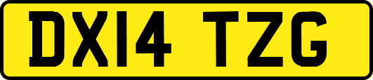 DX14TZG