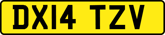 DX14TZV